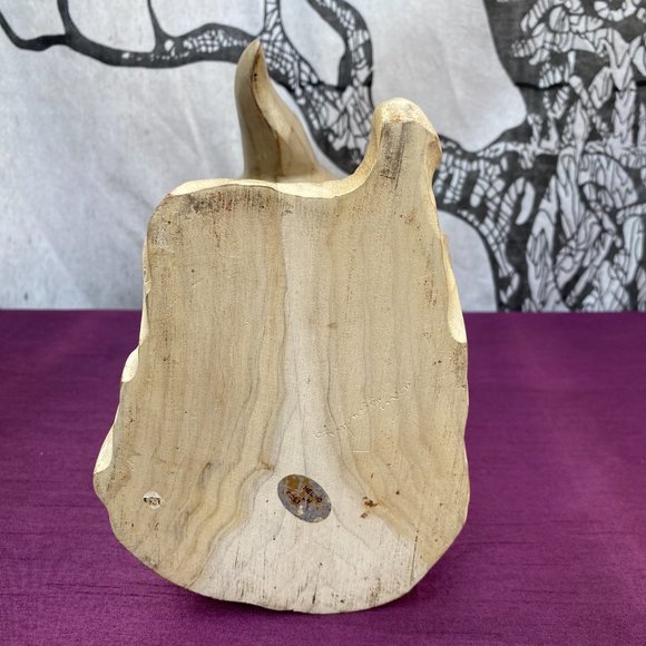 51-(2fer) Dolphinately Fintastic Duo - Picture 6 of 12